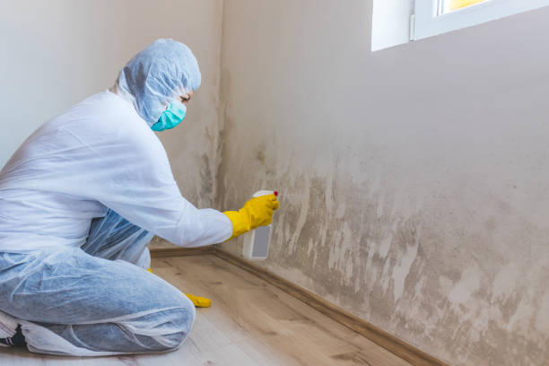 Mold Remediation specialist working in Richwood