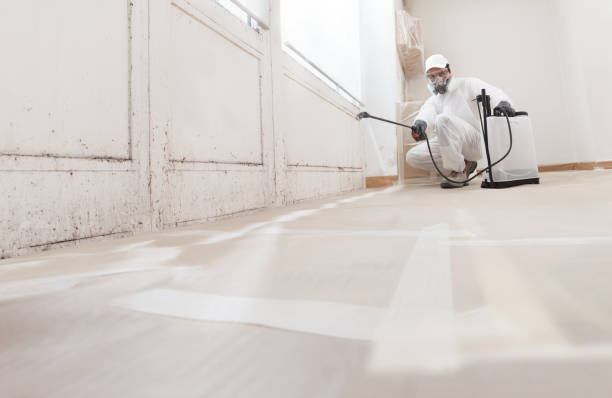 Black mold remediation team in Richwood
